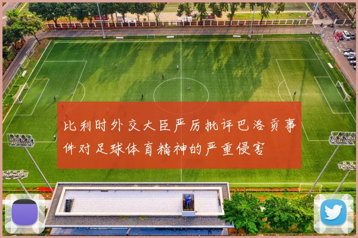 比利时外交大臣严厉批评巴洛贡事件对足球体育精神的严重侵害
